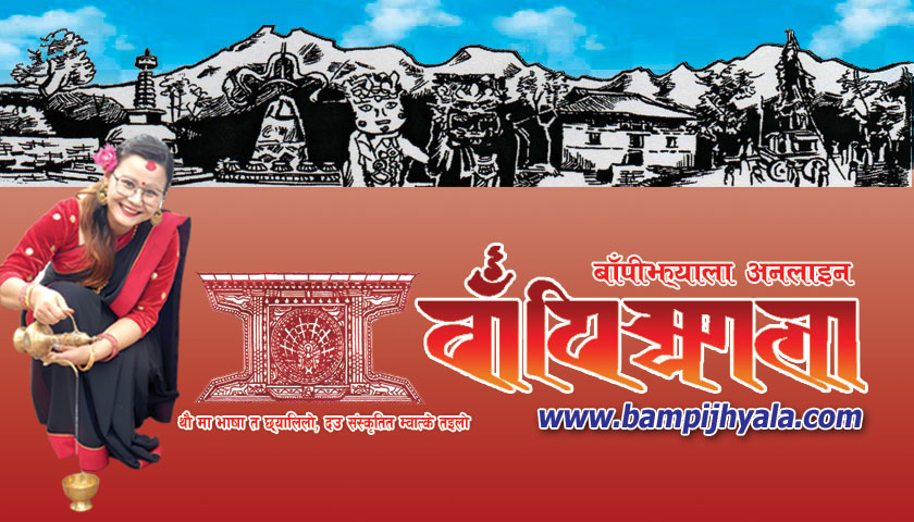 घरेलु हिंसा व मिसामी