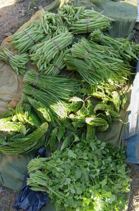 vegetable.jpg